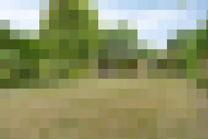 Oosterweg 61 a Ouddorp thumbnail 17