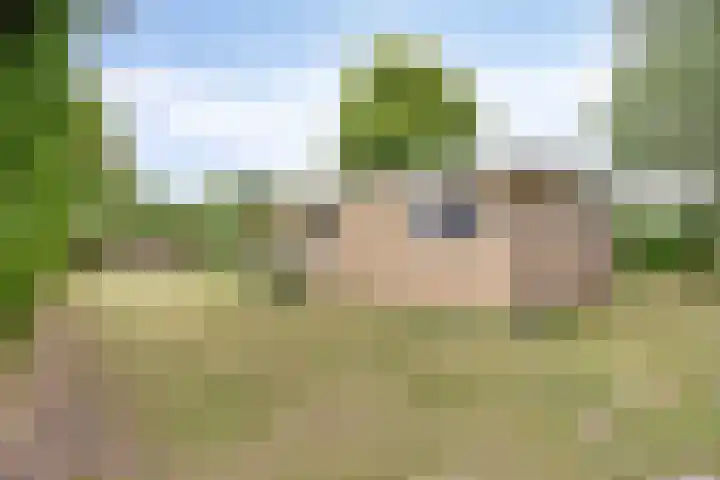Oosterweg 61 a Ouddorp thumbnail 18