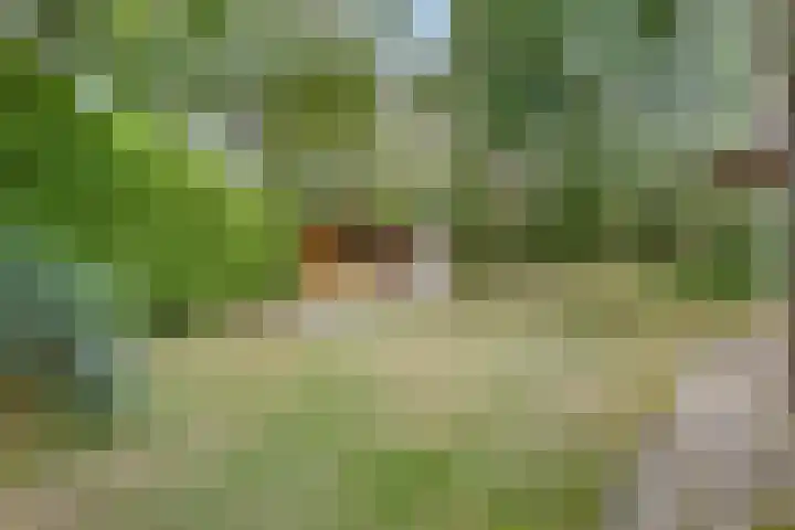 Oosterweg 61 a Ouddorp thumbnail 19