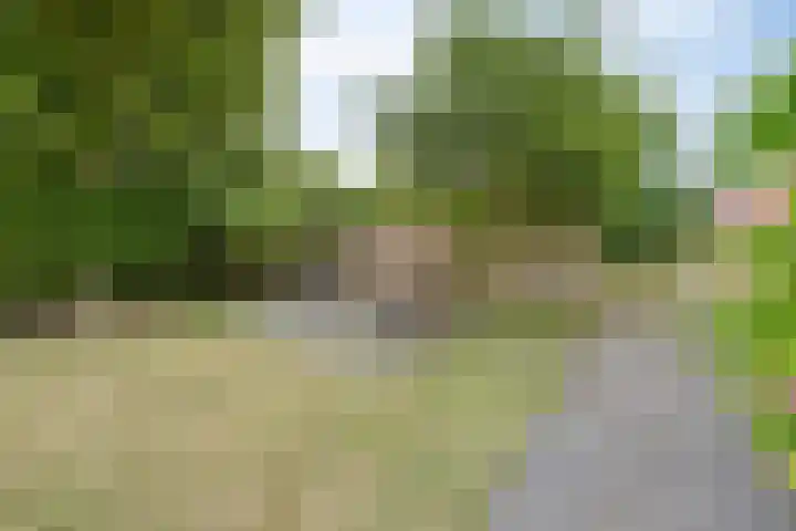Oosterweg 61 a Ouddorp thumbnail 20
