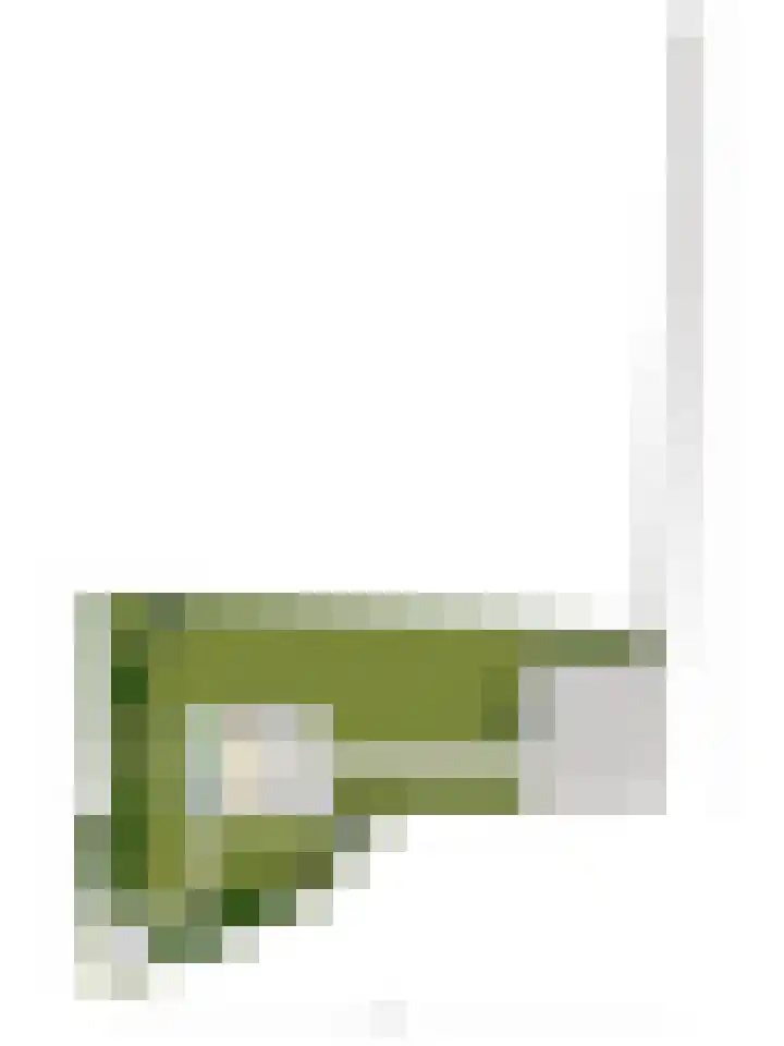 Oosterweg 61 a Ouddorp thumbnail 26