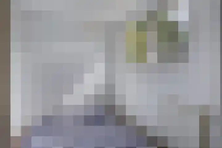 Oosterweg 61 a Ouddorp thumbnail 9