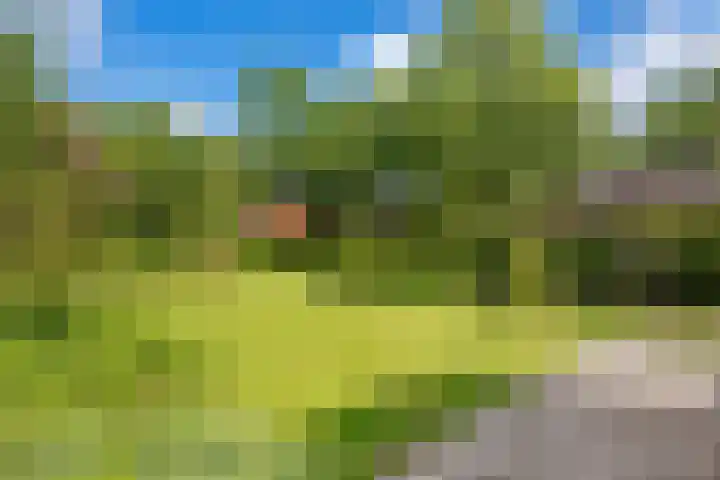 Oosterweg 61 Haren Gn thumbnail 36