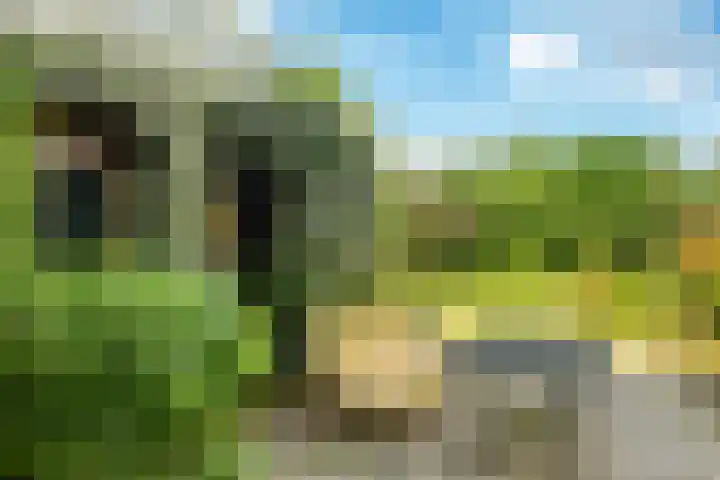 Oosterweg 61 Haren Gn thumbnail 38