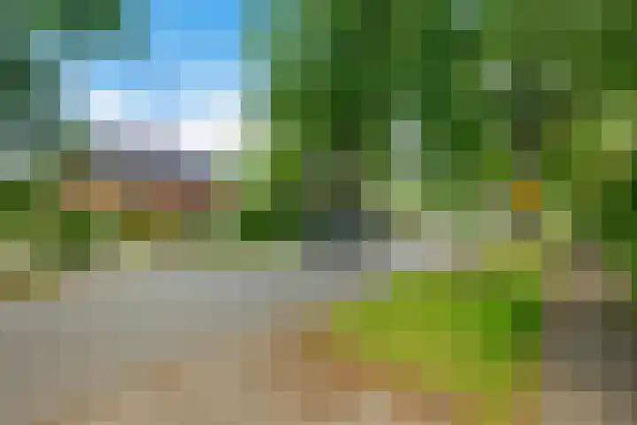 Oosterweg 61 Haren Gn thumbnail 5