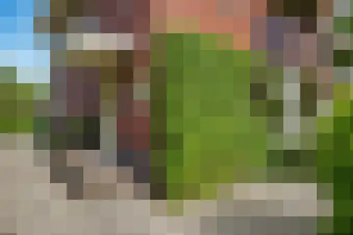 Oosterweg 61 Haren Gn thumbnail 7