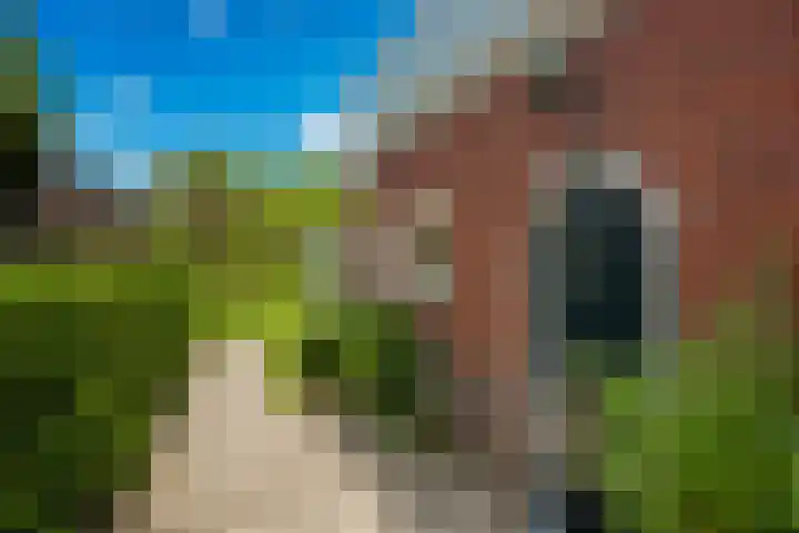 Oosterweg 61 Haren Gn thumbnail 8