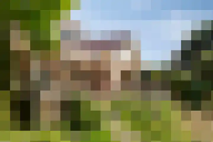 Oosterweg 63 Ouddorp thumbnail 34