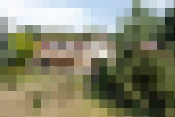 Oosterweg 63 Ouddorp thumbnail 35