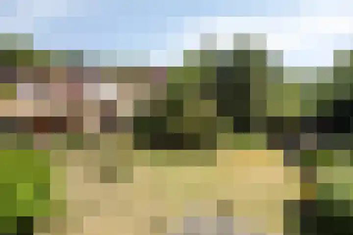 Oosterweg 63 Ouddorp thumbnail 36