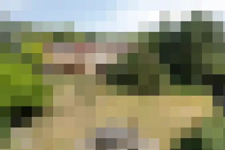 Oosterweg 63 Ouddorp thumbnail 38