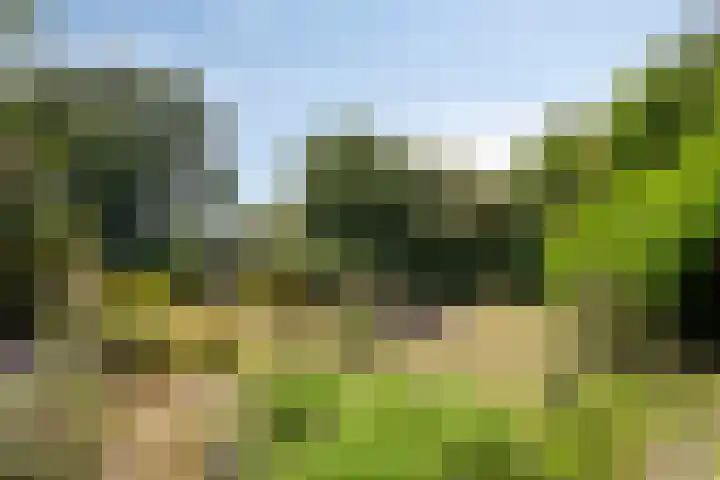Oosterweg 63 Ouddorp thumbnail 39