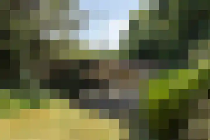 Oosterweg 63 Ouddorp thumbnail 40