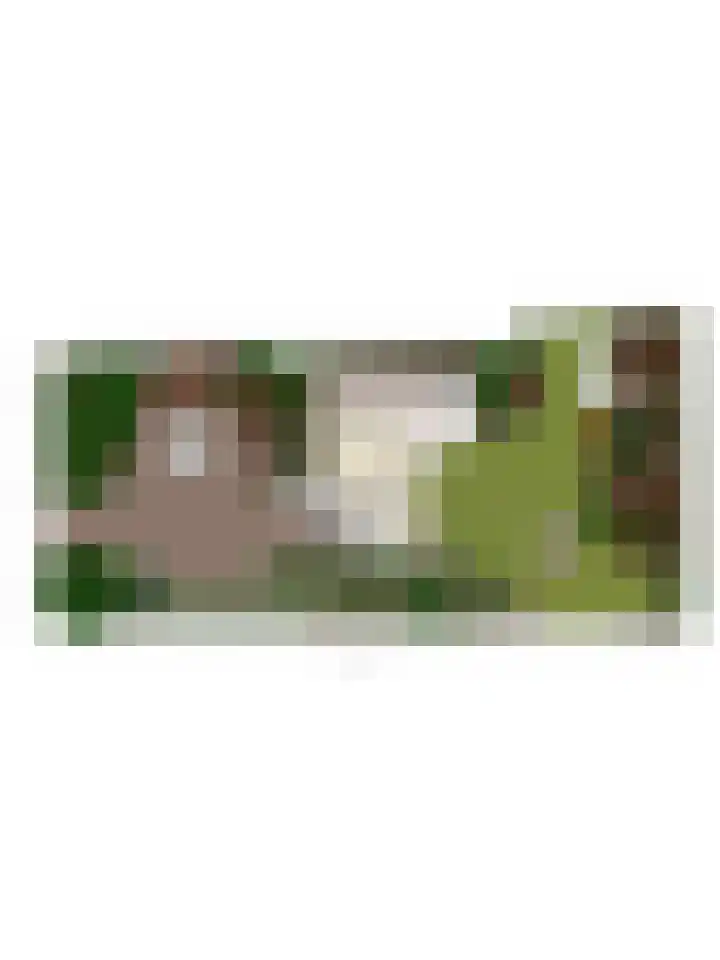 Oosterweg 63 Ouddorp thumbnail 47