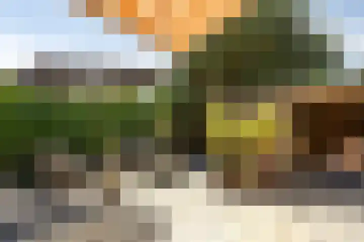 Oosterweg 63 Ouddorp thumbnail 8