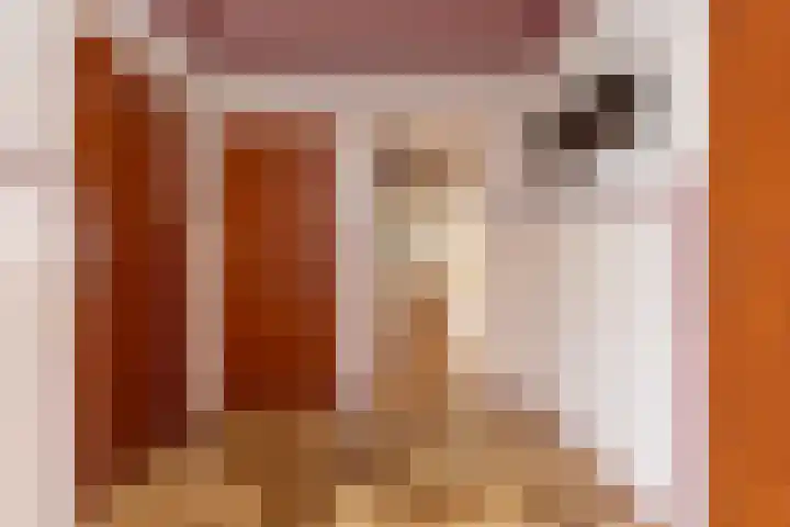 Oosterweg 64 Alteveer thumbnail 17