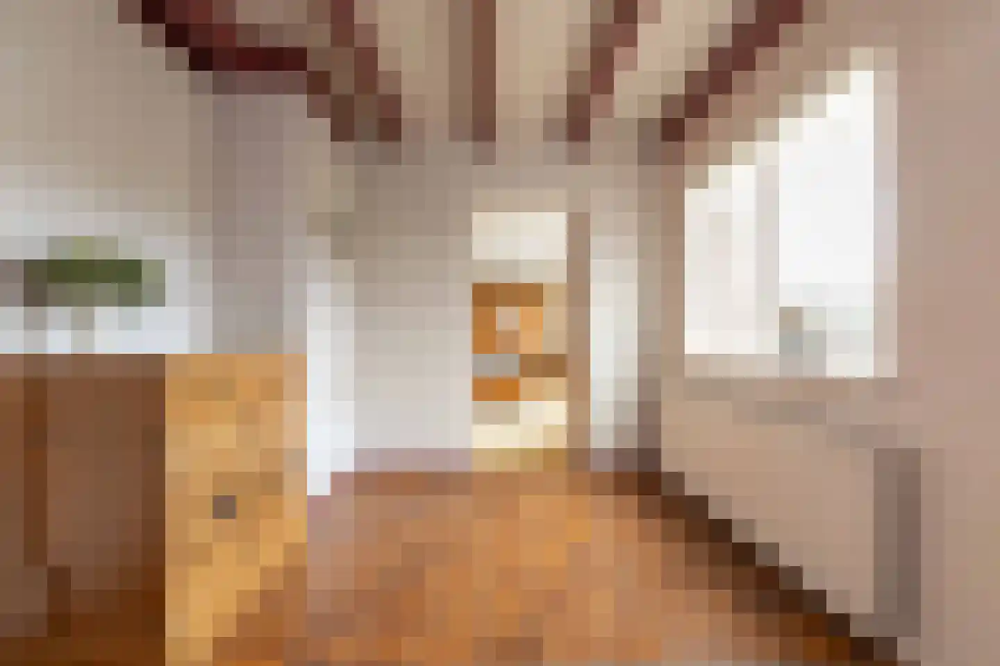 Oosterweg 64 Alteveer thumbnail 18