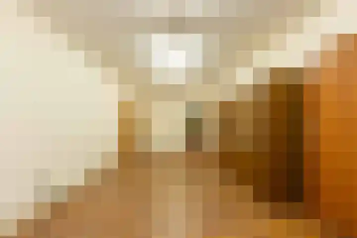 Oosterweg 64 Alteveer thumbnail 21
