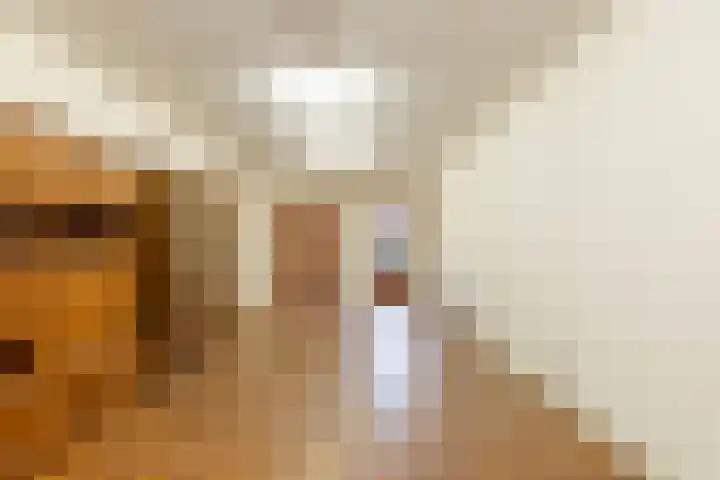 Oosterweg 64 Alteveer thumbnail 22