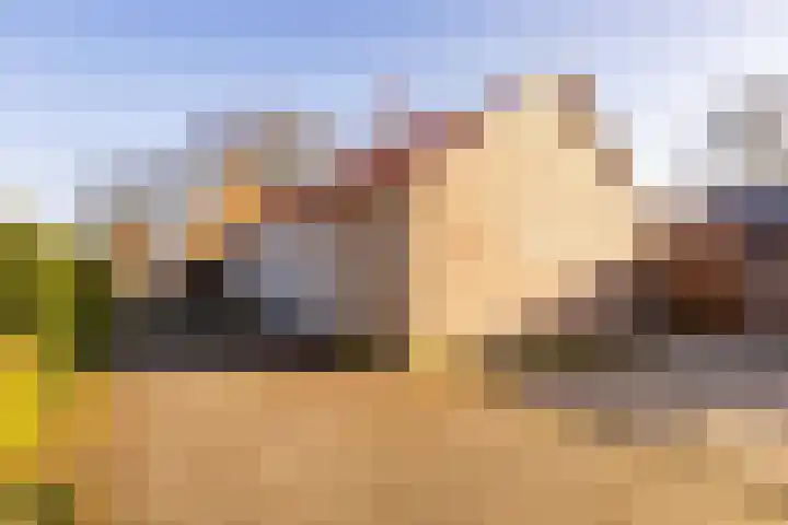 Oosterweg 64 Alteveer thumbnail 35