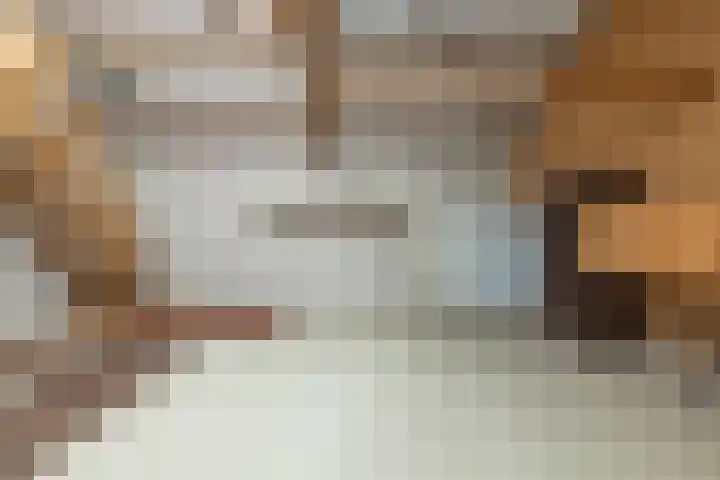 Oosterweg 64 Alteveer thumbnail 37
