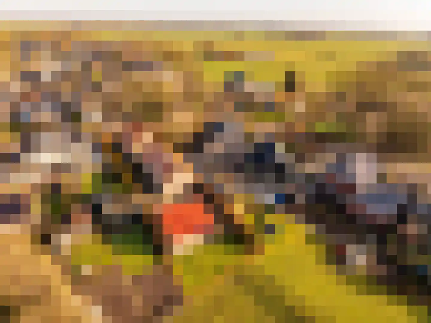 Oosterweg 64 Alteveer thumbnail 4
