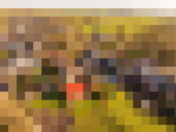 Oosterweg 64 Alteveer thumbnail 4
