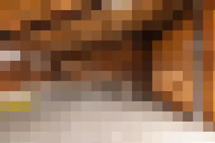 Oosterweg 64 Alteveer thumbnail 41