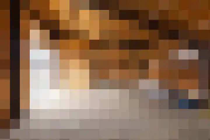 Oosterweg 64 Alteveer thumbnail 42
