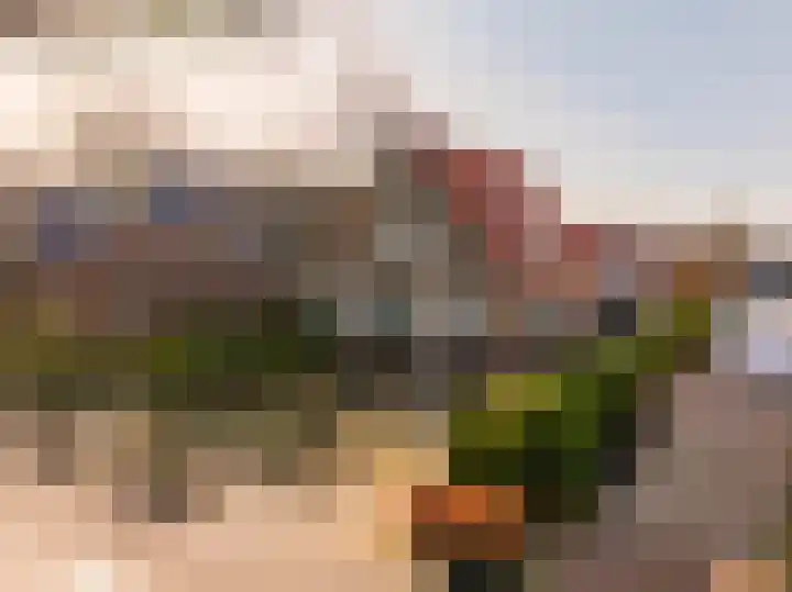 Oosterweg 64 Alteveer thumbnail 46