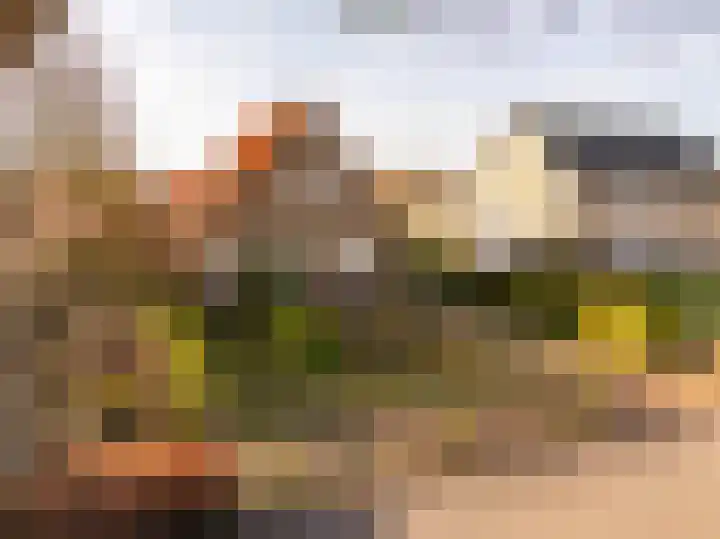 Oosterweg 64 Alteveer thumbnail 47