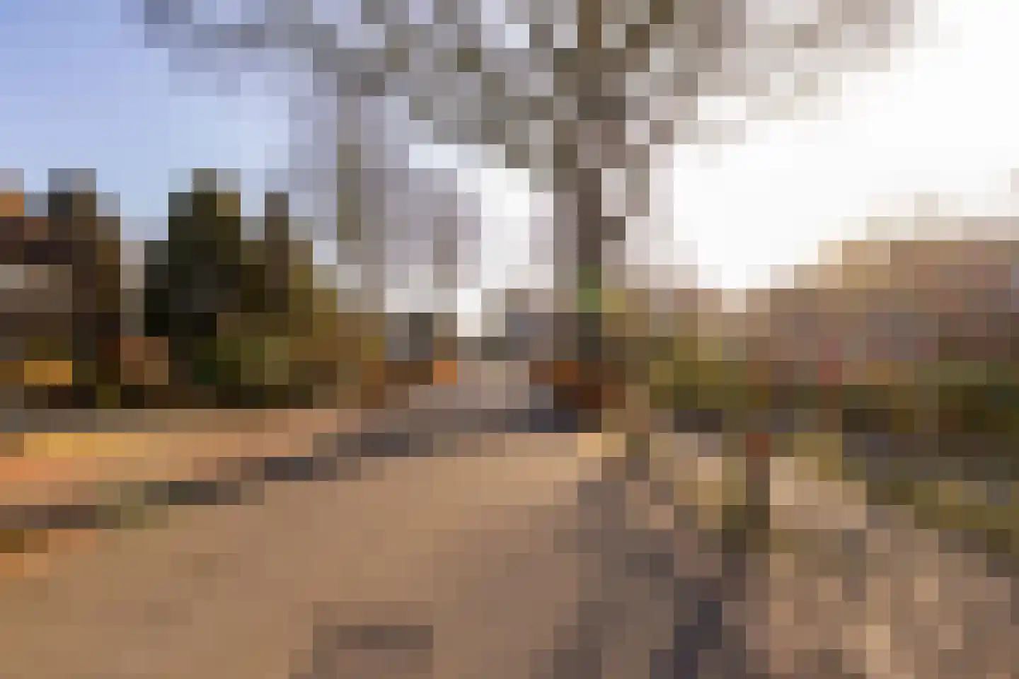 Oosterweg 64 Alteveer thumbnail 49