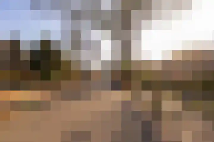 Oosterweg 64 Alteveer thumbnail 49