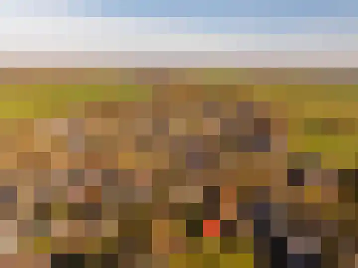 Oosterweg 64 Alteveer thumbnail 51
