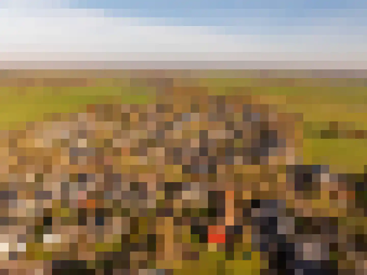 Oosterweg 64 Alteveer thumbnail 51