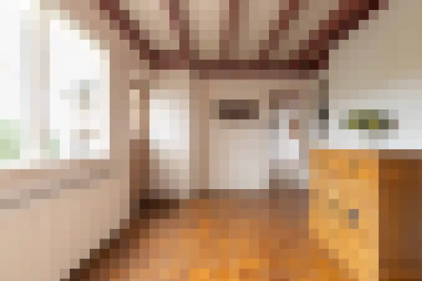 Oosterweg 64 Alteveer thumbnail 9