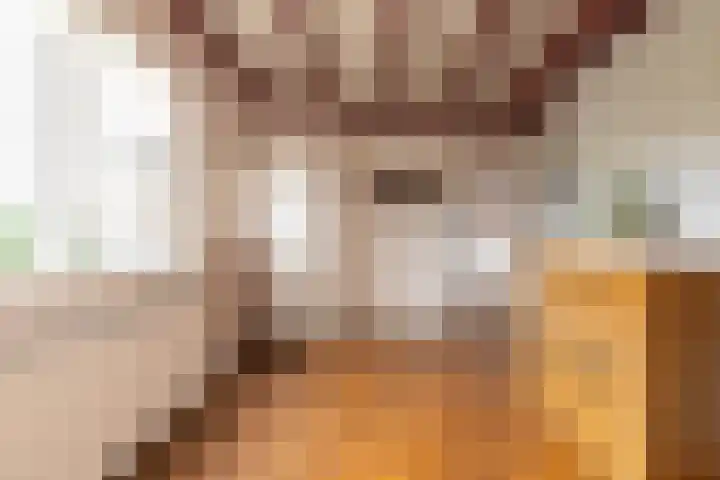 Oosterweg 64 Alteveer thumbnail 9
