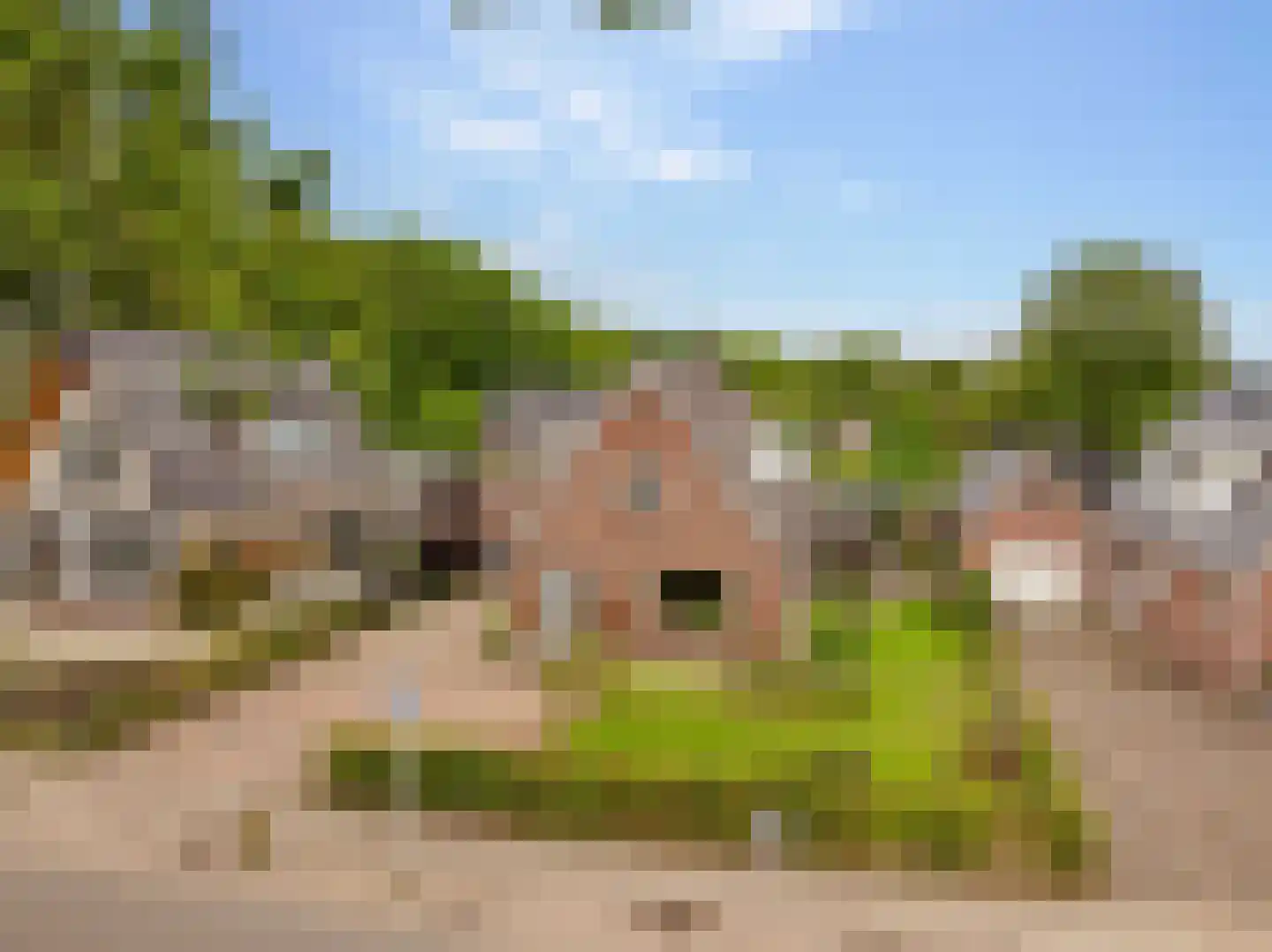 Oosterweg 8 Zuidwolde thumbnail 5