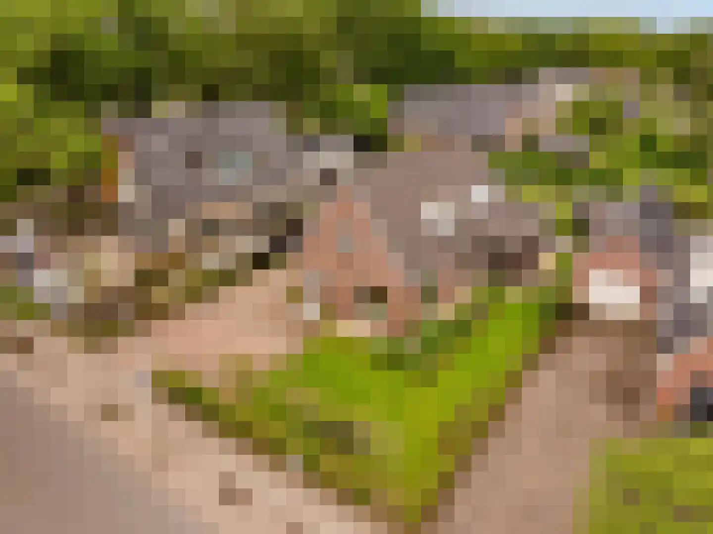 Oosterweg 8 Zuidwolde thumbnail 8