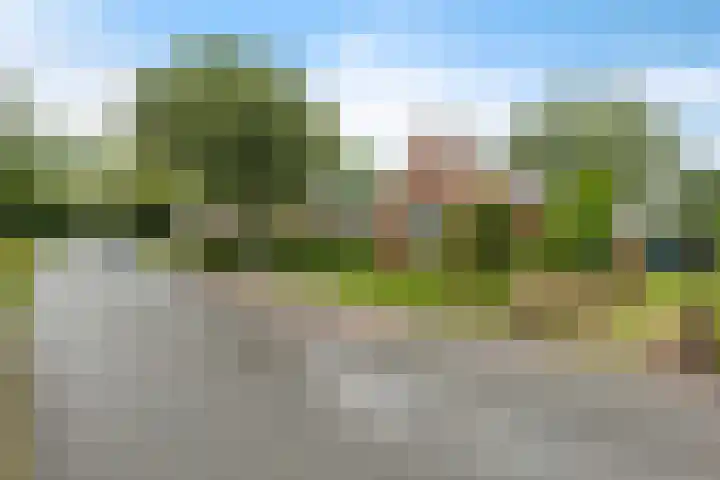 Oosterweg 9 Kantens thumbnail 9