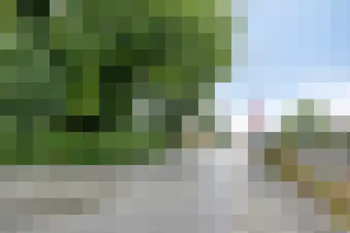 Oosterweg 93 Groningen thumbnail 21