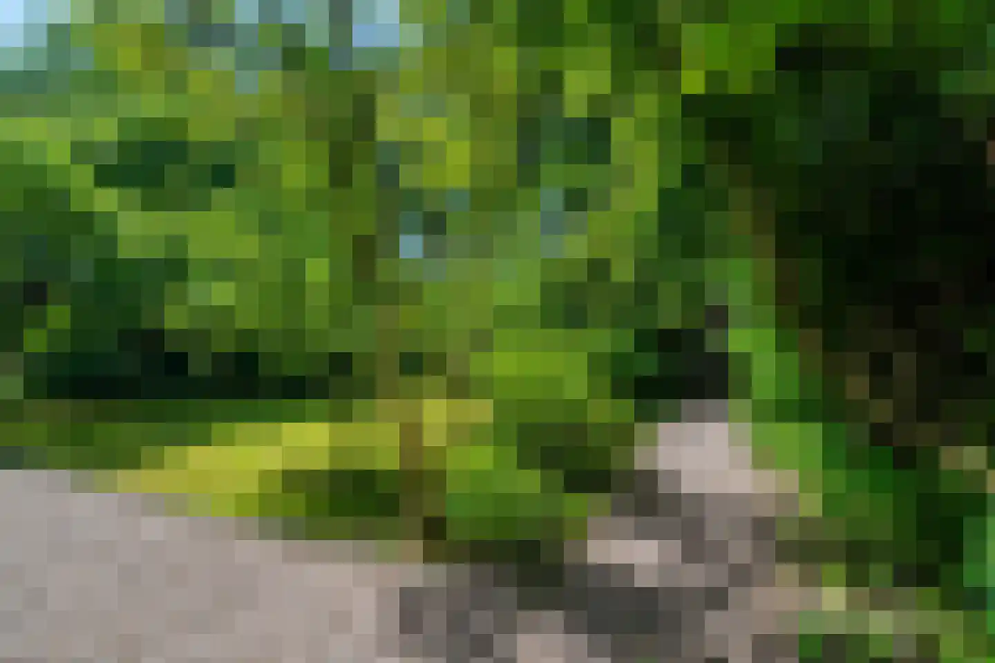 Oosterweg 95 Haren Gn thumbnail 13