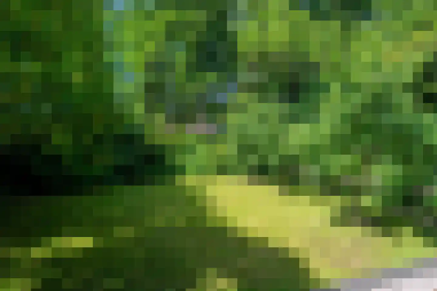 Oosterweg 95 Haren Gn thumbnail 14