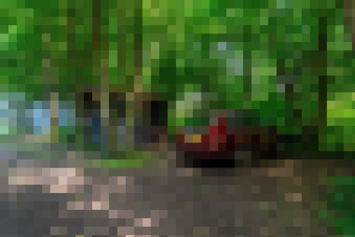 Oosterweg 95 Haren Gn thumbnail 81