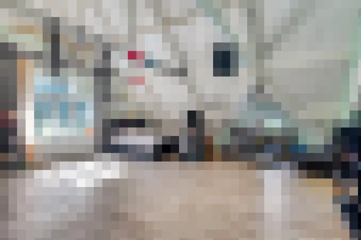 Oosterweg E 3 Purmer thumbnail 14