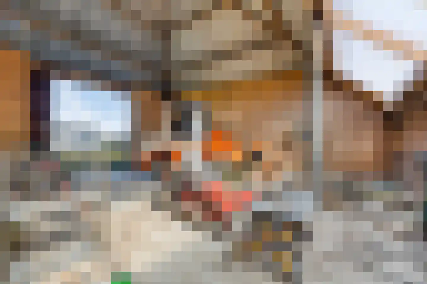 Oosterweg E 3 Purmer thumbnail 25