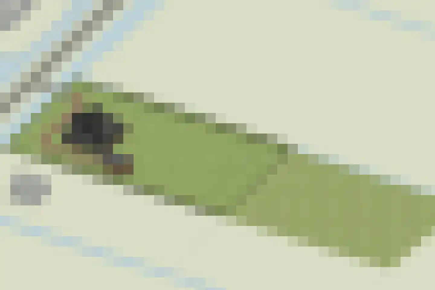 Oosterweg E Purmer thumbnail 4