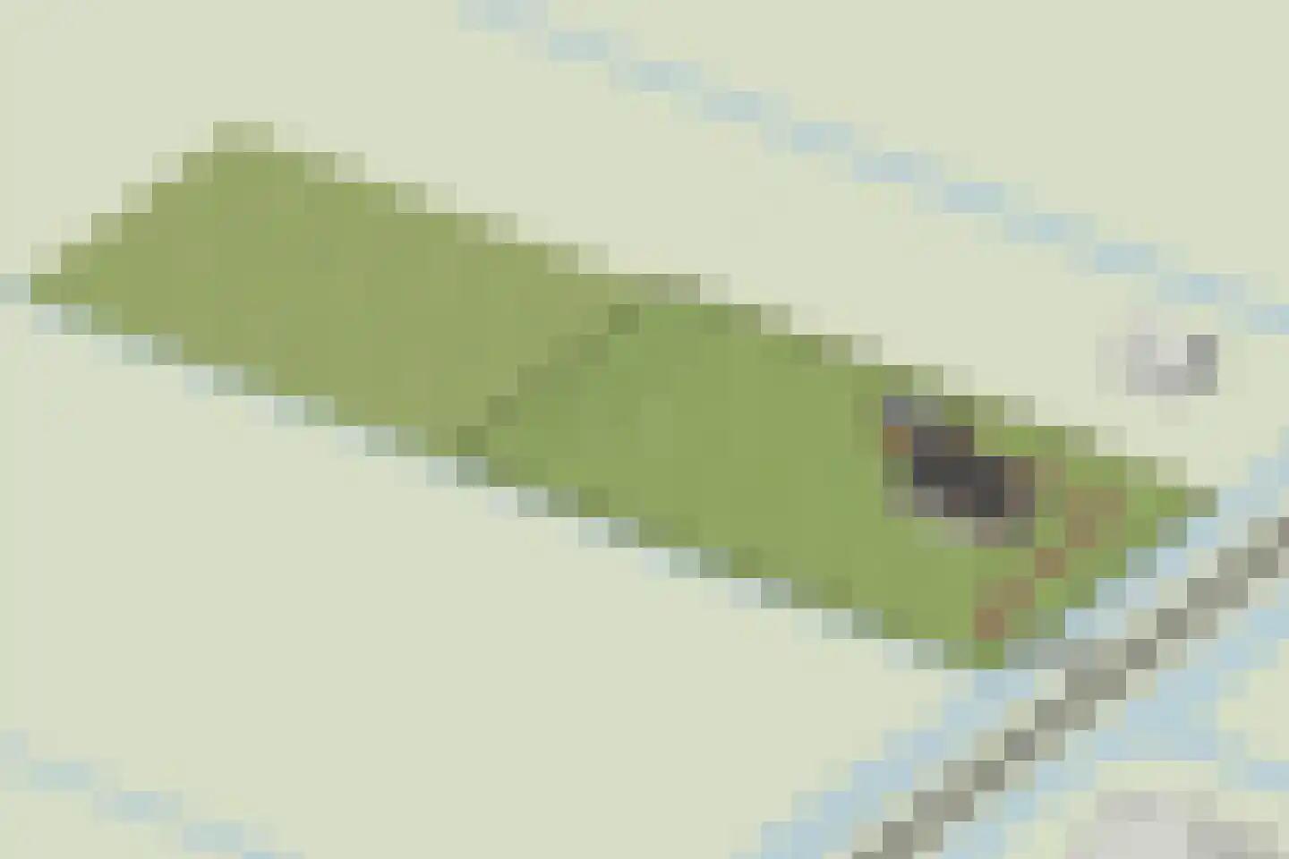 Oosterweg E Purmer thumbnail 6