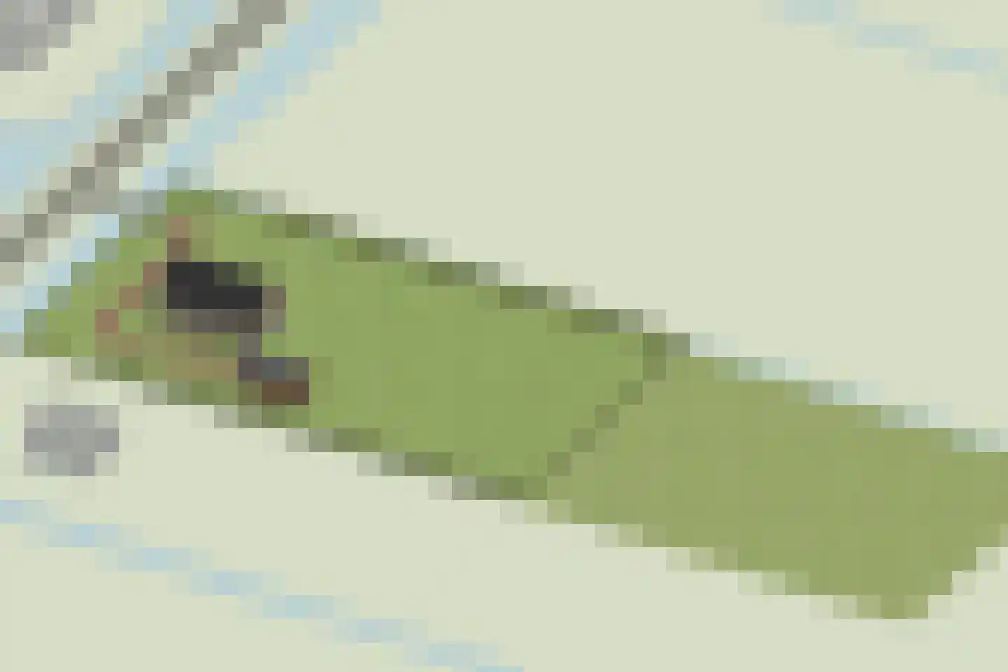 Oosterweg E Purmer thumbnail 7