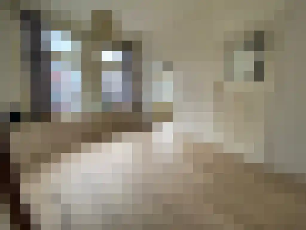 Oosterweg Groningen thumbnail 6